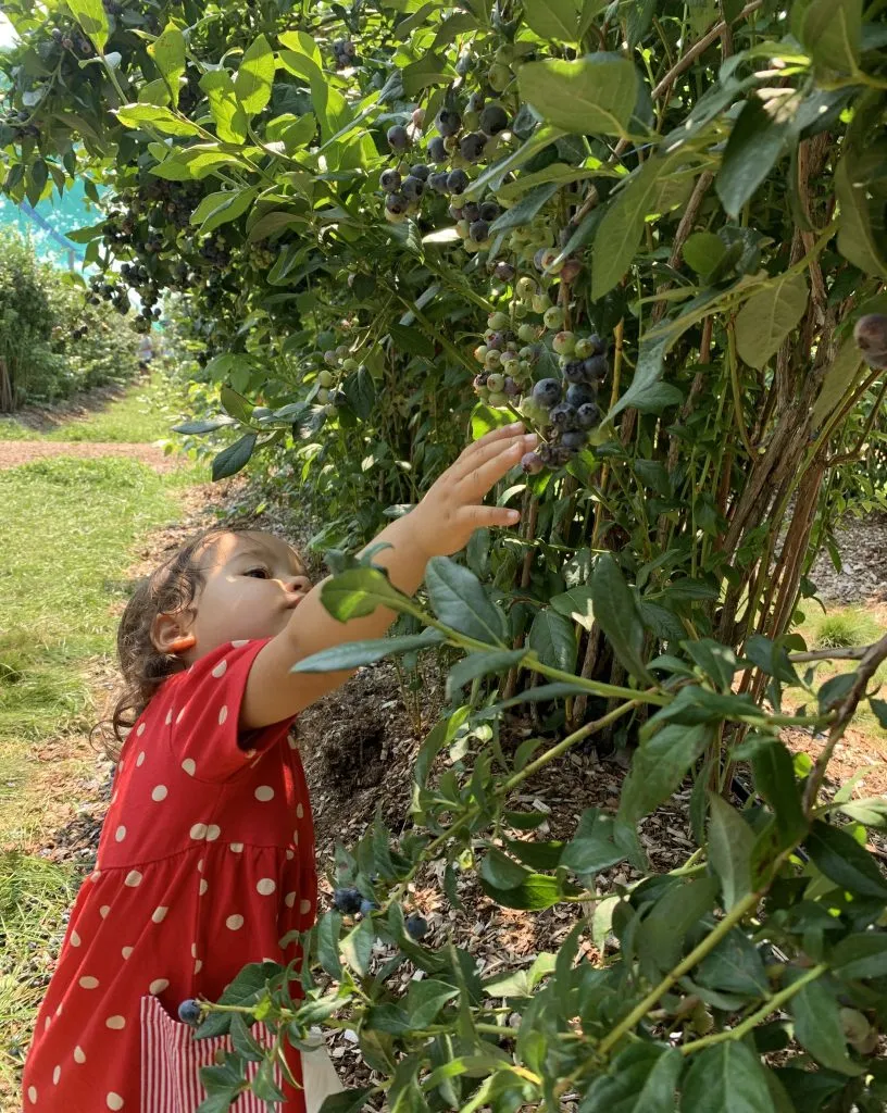 Featured image for How I am Living a more Unconventional Life since Raising Children Abroad in Germany