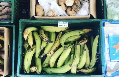 Pretzels & Platanos | Raising Multicultural Children Abroad in Germany