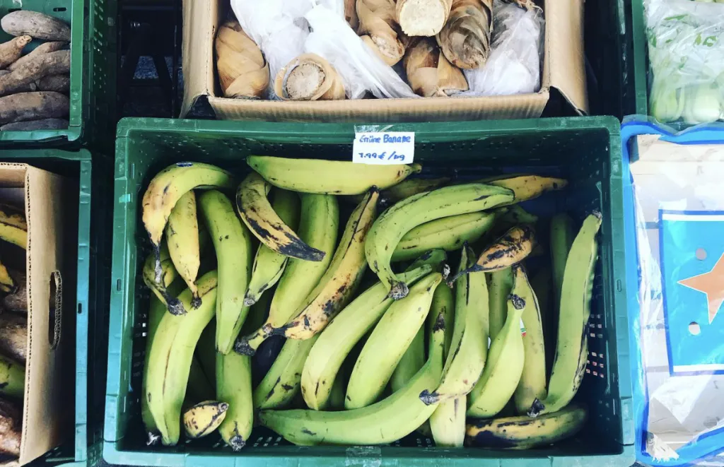 Featured image for Pretzels & Platanos | Raising Multicultural Children Abroad in Germany